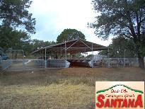 corral vientres ovinos